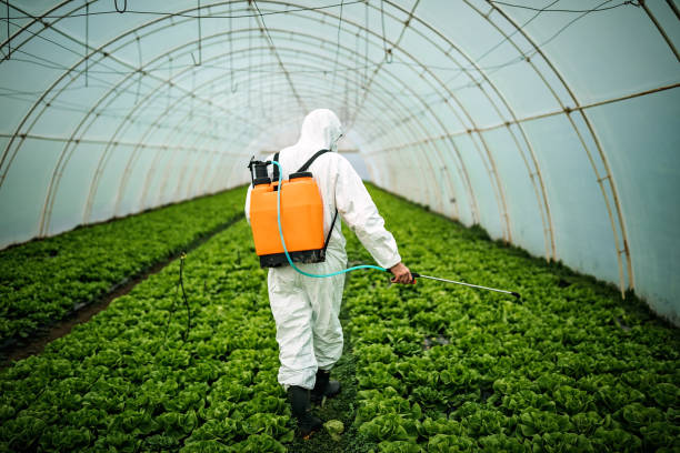 Best Affordable Pest Control Services  in Wellston, MO
