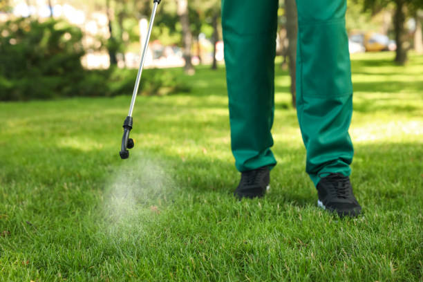 Best Termite Control Services  in Wellston, MO