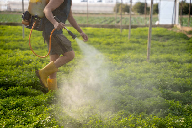 Pest Control for Restaurants in Wellston, MO